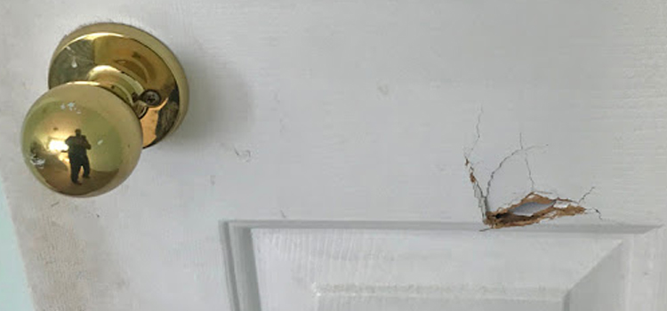interior door hole repair Brentwood